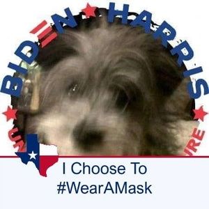 Meet your Posher, Armando